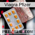 Pfizer Viagra new13